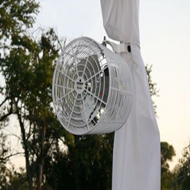 POLE FAN (WHITE)